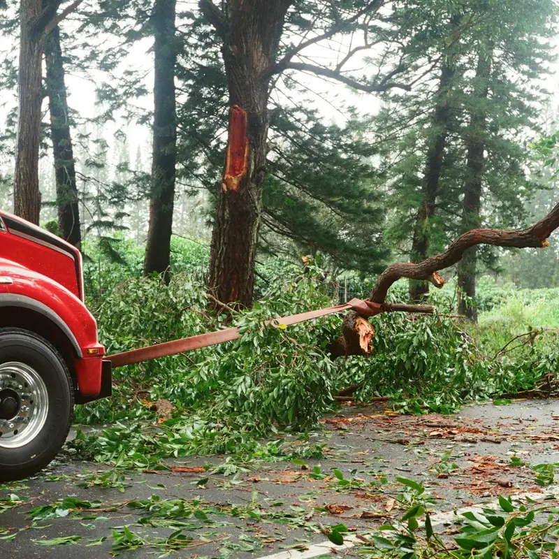 Email header photo: a red tow truck pulling a fallen tree branch off a rain-soaked road with a strap after a storm