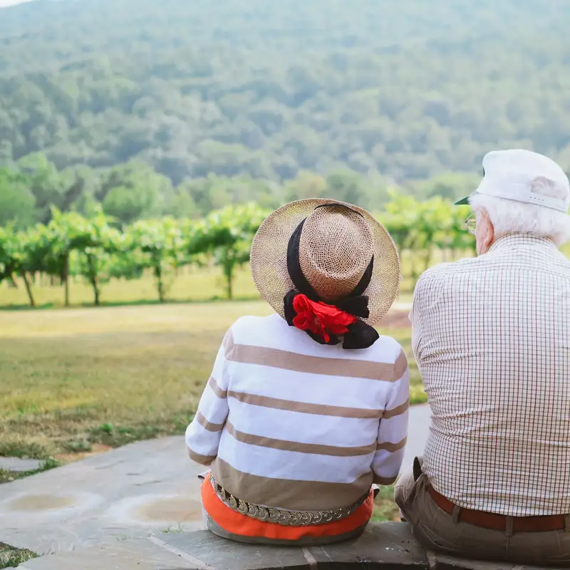 Email header photo: a retired couple seen from behind, sitting side by side on a stone ledge and looking out over a vineyard and wooded hills