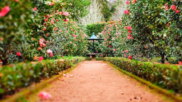 Landscaping & Outdoor Living