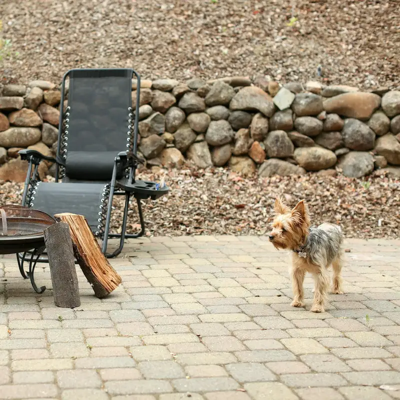 Email header photo: two reclining chairs around a metal fire pit with stacked firewood on a tan brick paver patio, below a dry-stacked river stone retaining wall, with a small terrier standing nearby