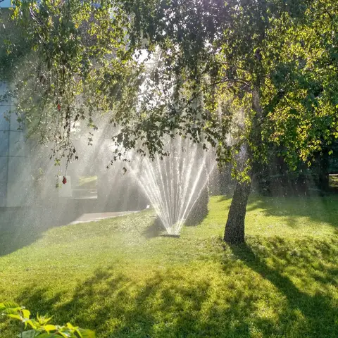 A sprinkler head spraying a fan of water across a lush lawn under the shade of a large tree on a sunny day