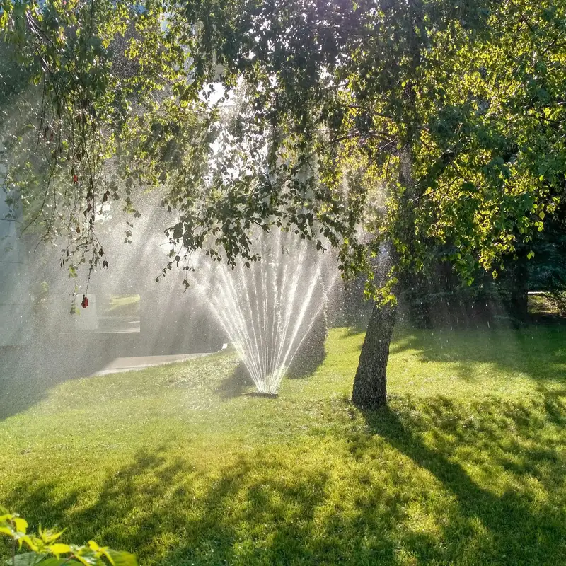 Email header photo: a sprinkler head spraying a fan of water across a lush lawn under the shade of a large tree on a sunny day