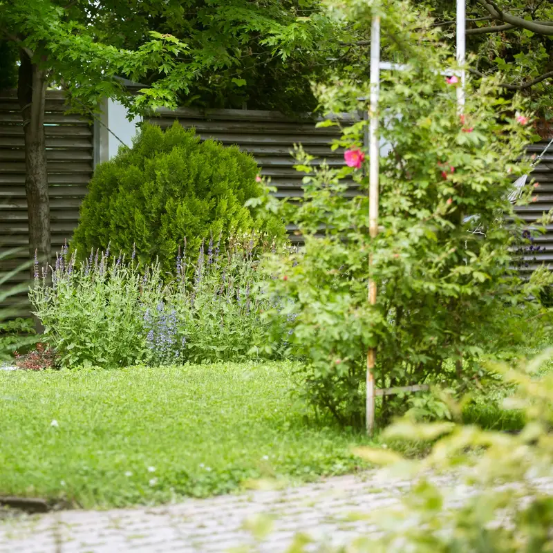 Email header photo: a finished garden with layered evergreen shrubs, purple perennials, ornamental grass and a paver path across a small lawn