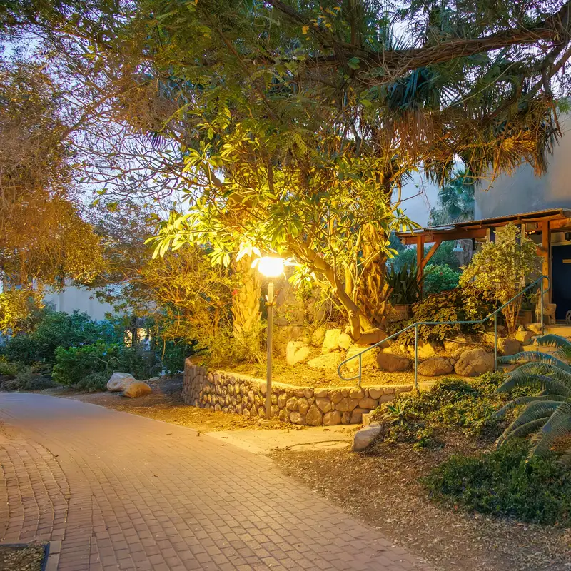 Email header photo: a brick walkway at dusk lit by a post light, with warm uplights in the trees and shrubs leading to a front door