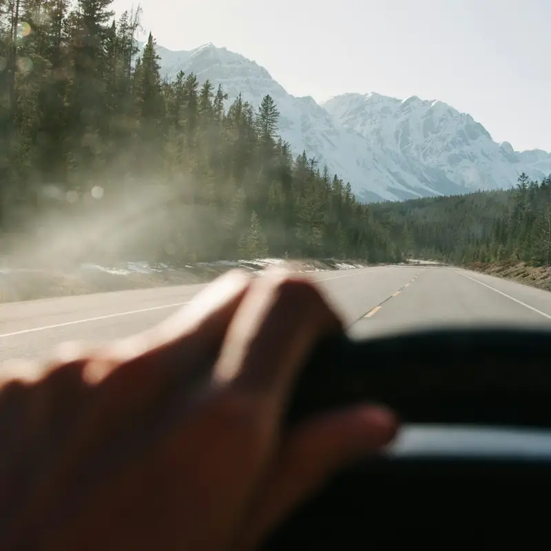 Email header photo: a driver’s hand resting on the steering wheel on an open road through pine forest toward snowy mountains