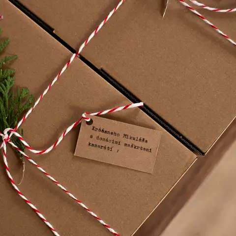 Kraft mailer boxes tied with red and white twine for the holidays, sealed with red wax, with a sprig of greenery and a typed gift tag