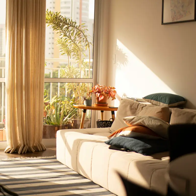 Email header photo: a sunlit apartment living room with a cream sofa, plants and tall windows looking out on the city