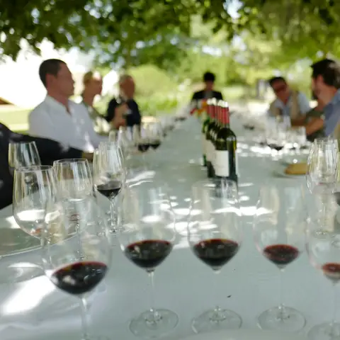 Rows of red wine tasting glasses on a long white table under the trees, with guests talking at both sides