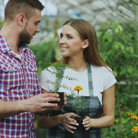 A couple in a greenhouse holding a potted seedling and a potted orange marigold, with more marigolds blooming beside them