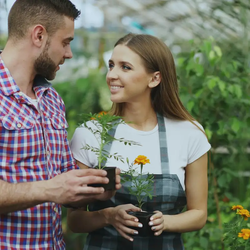 Email header photo: a couple in a greenhouse holding a potted seedling and a potted orange marigold, with more marigolds blooming beside them