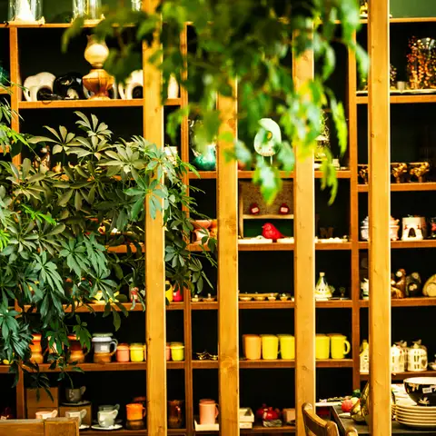 Wooden shelves of mugs, ceramics and home goods behind green plants in a gift shop