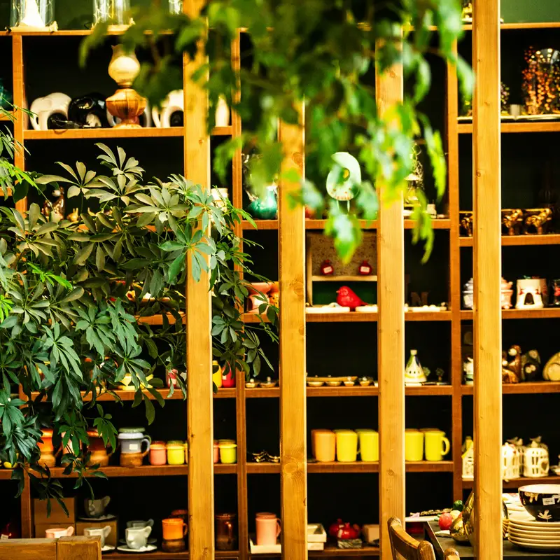Email header photo: wooden shelves of mugs, ceramics and home goods behind green plants in a gift shop