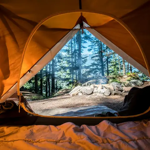 The view from inside an orange tent, with a sleeping bag in front and a stone fire ring among tall pines outside the open door