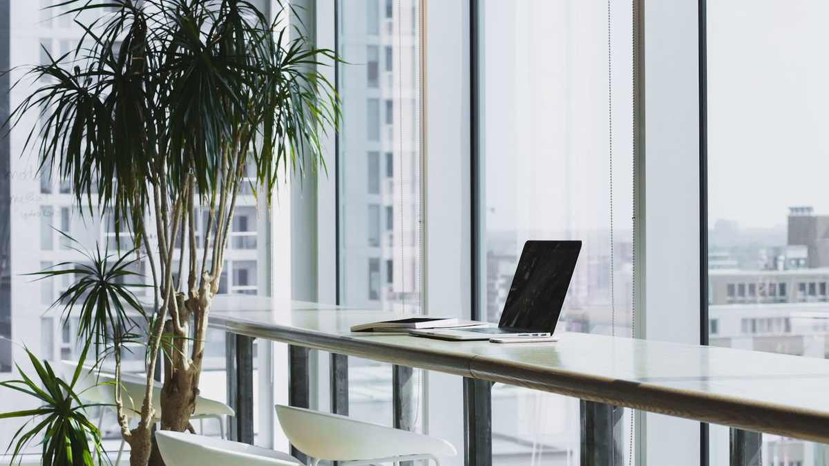 Enterprise SEO analytics consultant analyzing internal link graph visualization and crawl depth telemetry on workstation