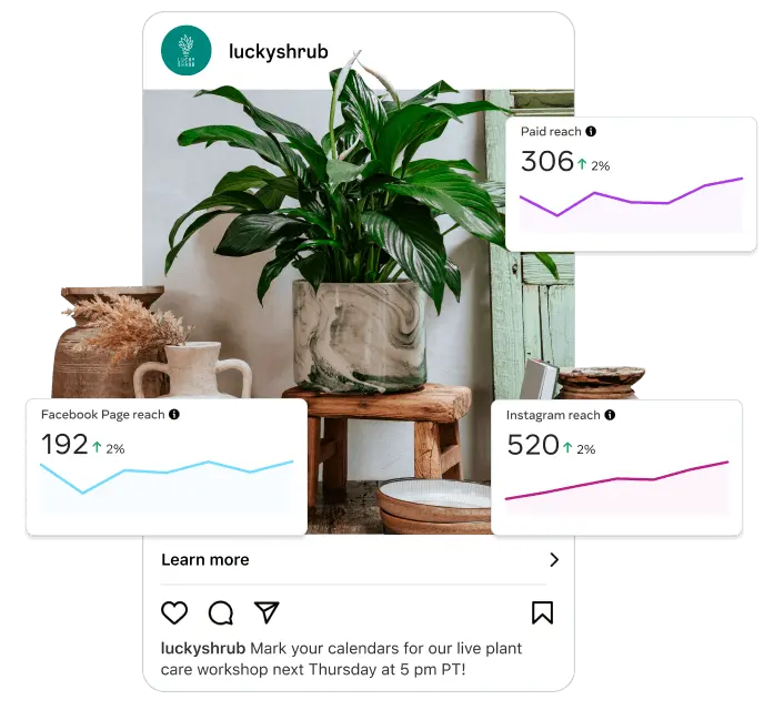 Plant shop's Instagram post with reach charts for Facebook and Instagram