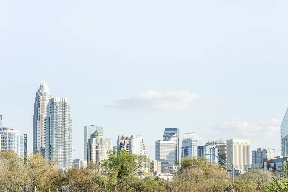 Uptown Charlotte skyline rising above the trees on a clear day