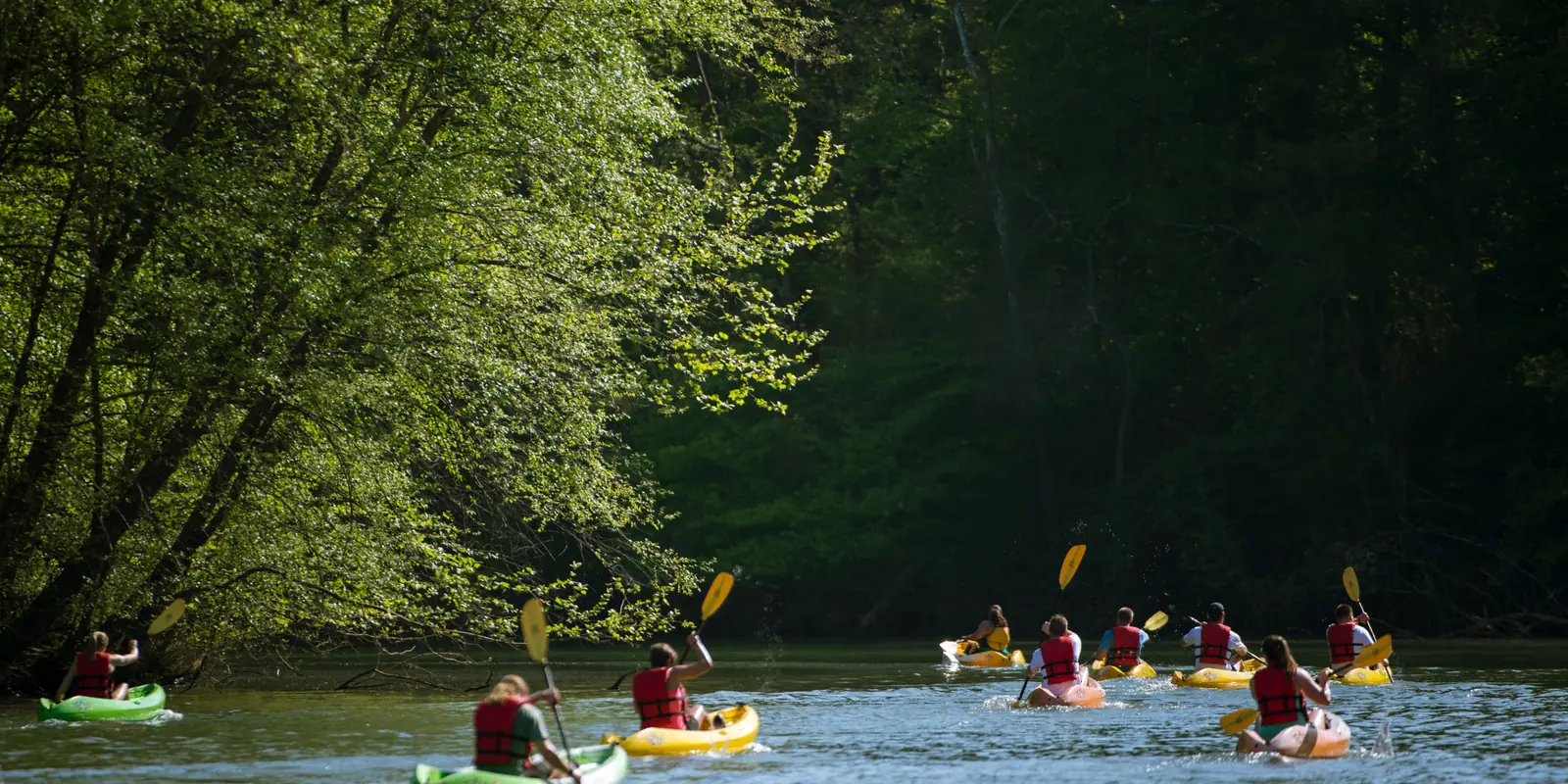 Recreational flatwater kayakers navigating the scenic shoreline of the Catawba River in Belmont
