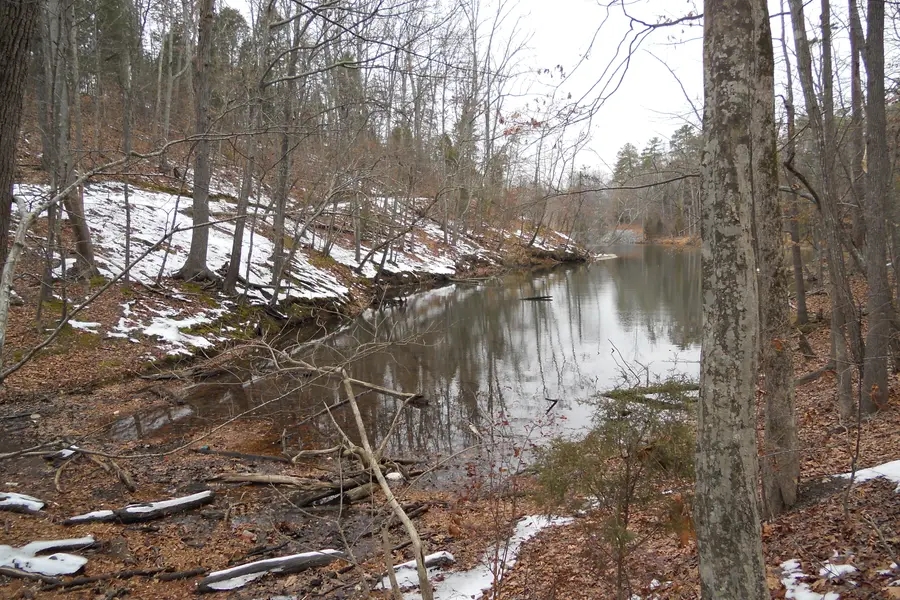 Scenic cove shoreline and calm blue waters of Lake Wylie in northern York County