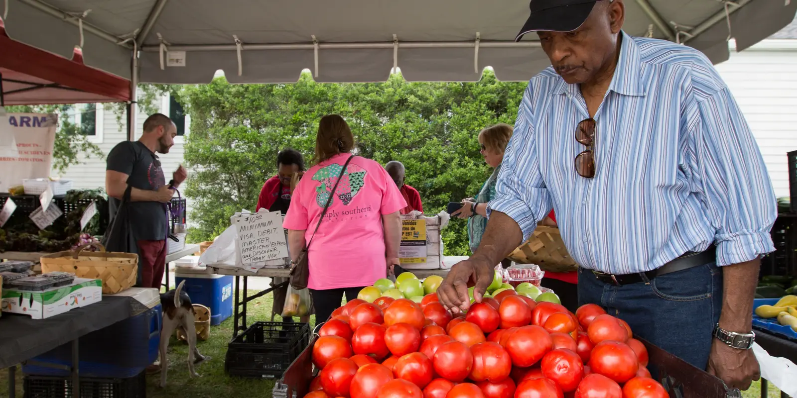 Lush farm fresh seasonal produce and artisanal goods displayed under open air community market stalls