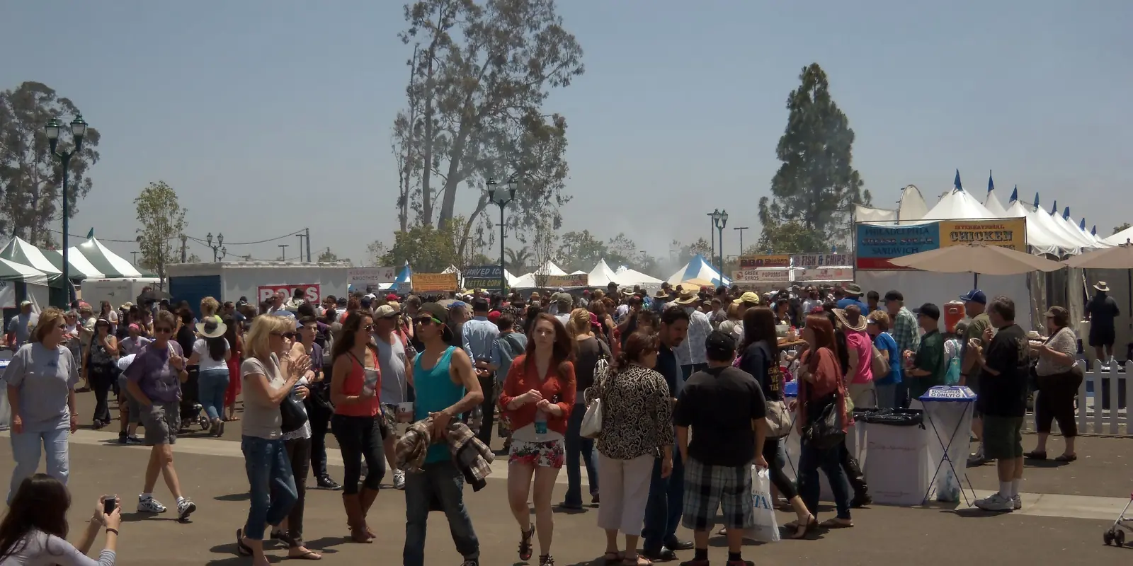 Festive crowd gathered at an outdoor regional strawberry festival with artisan booths and food vendors