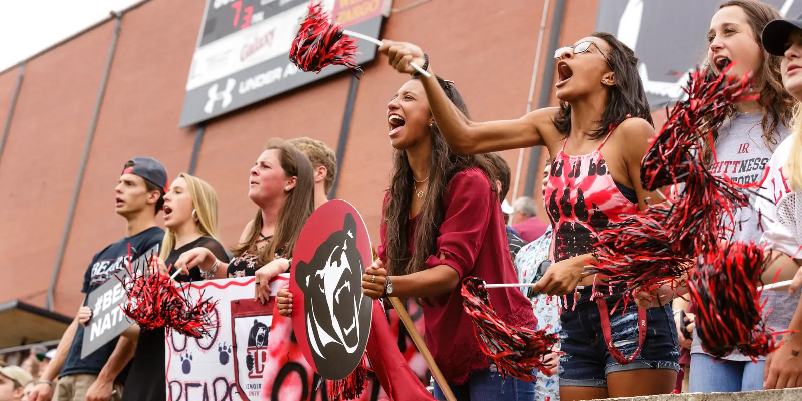 Cheering collegiate sports fans in the stands at Moretz Stadium in Hickory, North Carolina