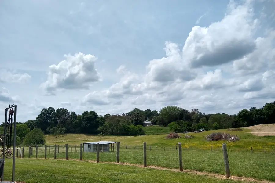 Late spring afternoon view of lush open fields and rural countryside in southwest Stanly County near Locust
