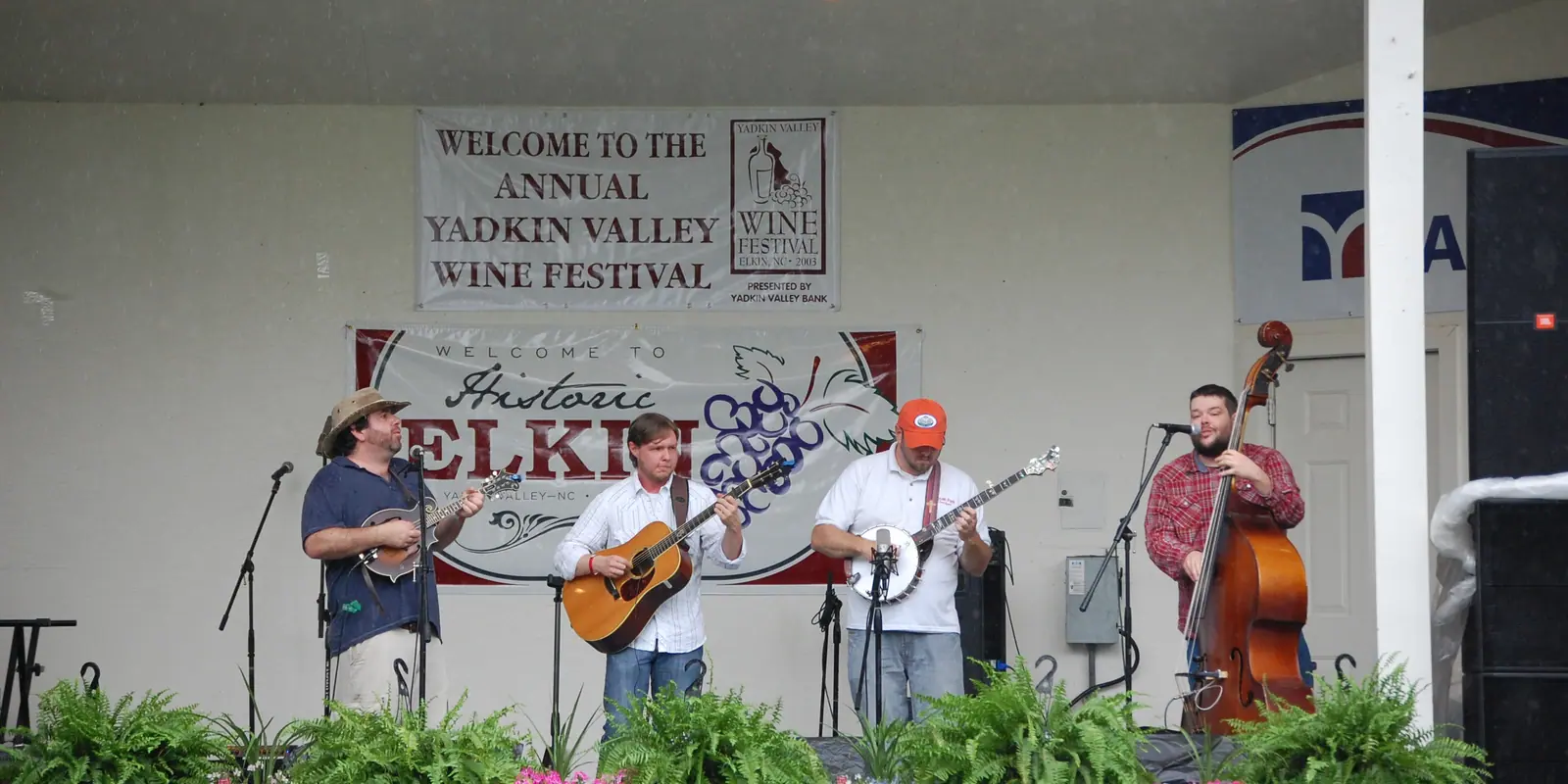 Acoustic musicians performing live bluegrass and traditional Piedmont music at an outdoor event