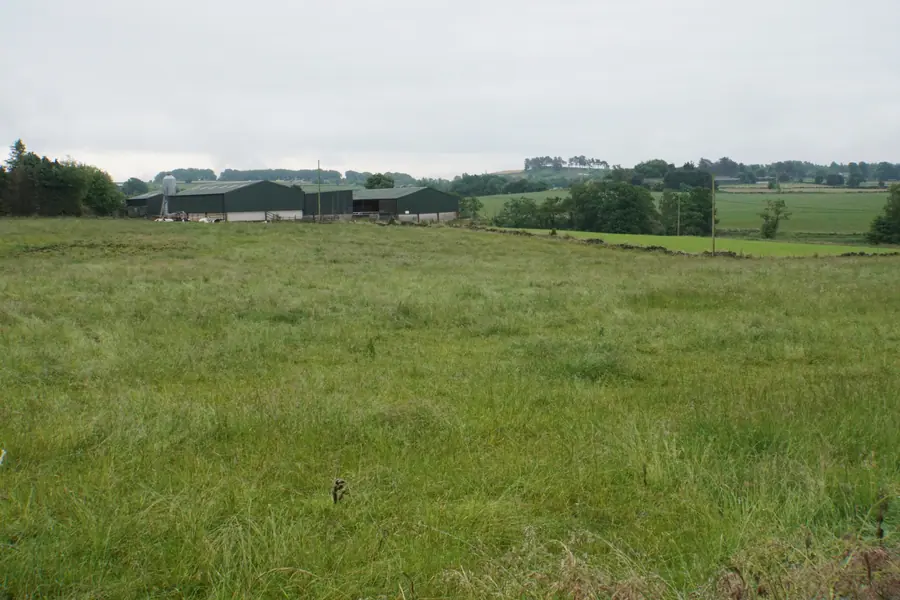 Expansive green farm fields and pastoral preservation acreage in North Carolina countryside near Weddington