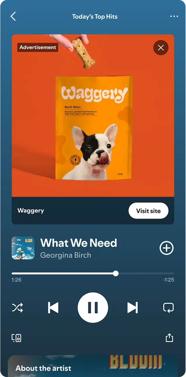 Spotify video ad for a demo pet food brand playing above a song in the app