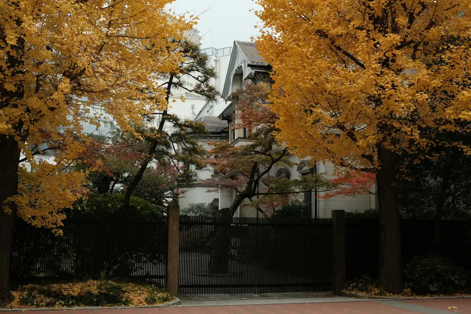 Campus building surrounded by trees with yellow autumn leaves