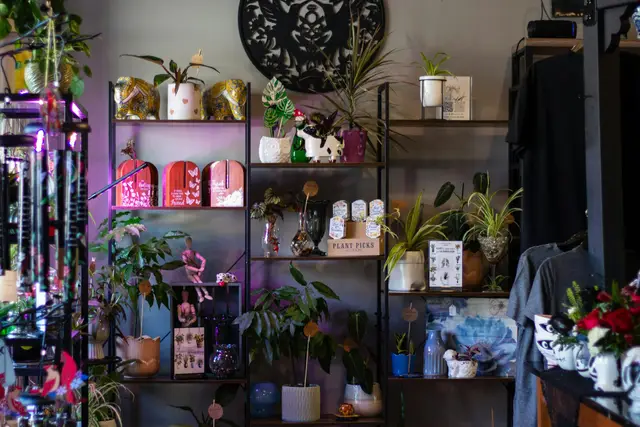 Boutique shelves filled with house plants, candles and decorative gifts
