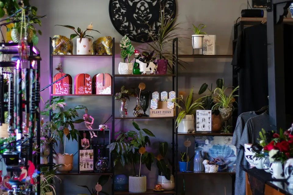Boutique shelves filled with house plants, candles and decorative gifts