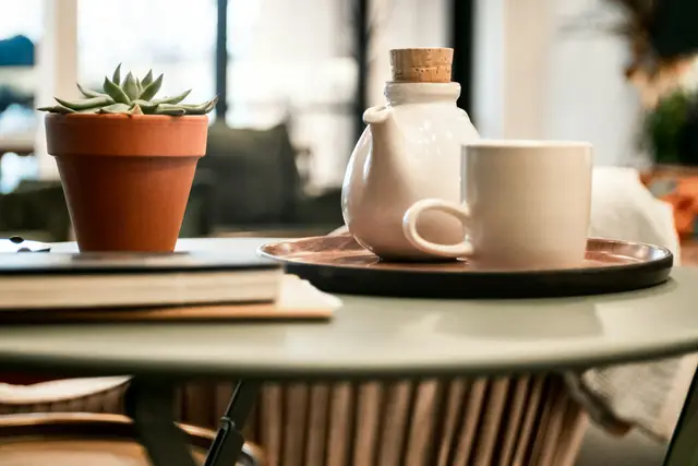 White teapot and cup on a tray beside a small potted succulent on a cafe table
