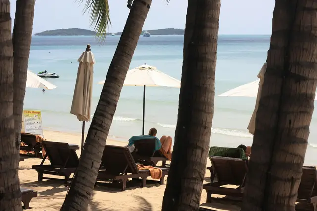 Beach loungers and umbrellas under palm trees beside a calm sea