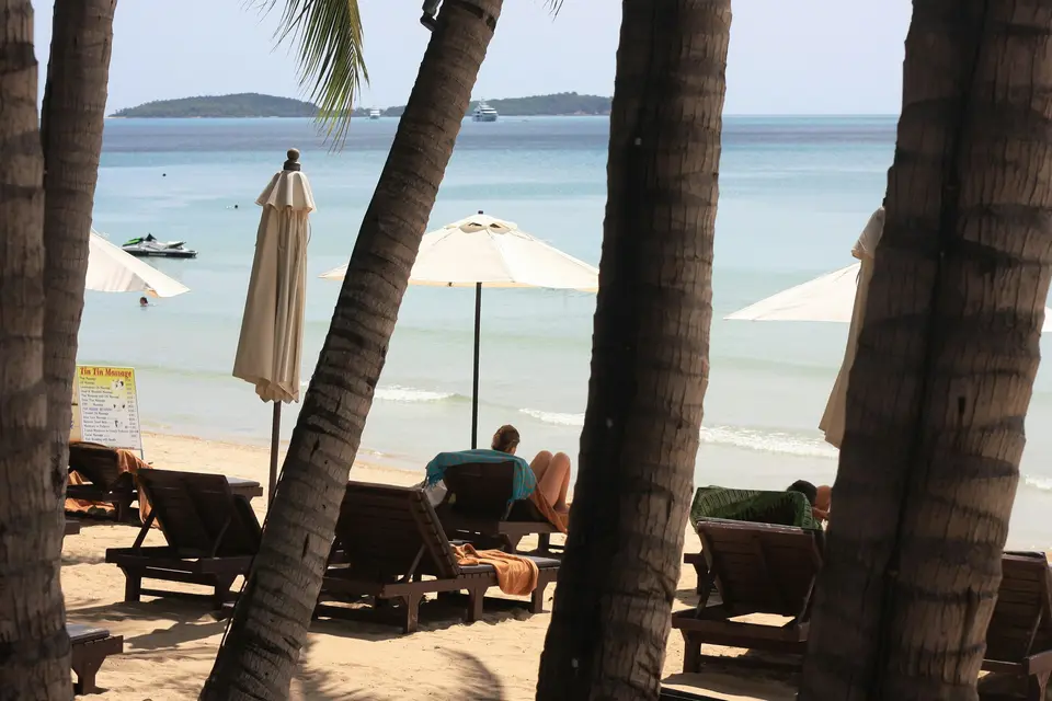 Beach loungers and umbrellas under palm trees beside a calm sea