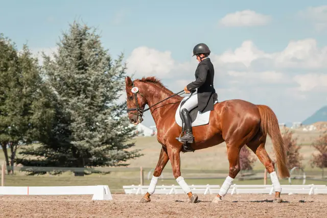 Rider in a black jacket and helmet on a chestnut horse in a sand arena