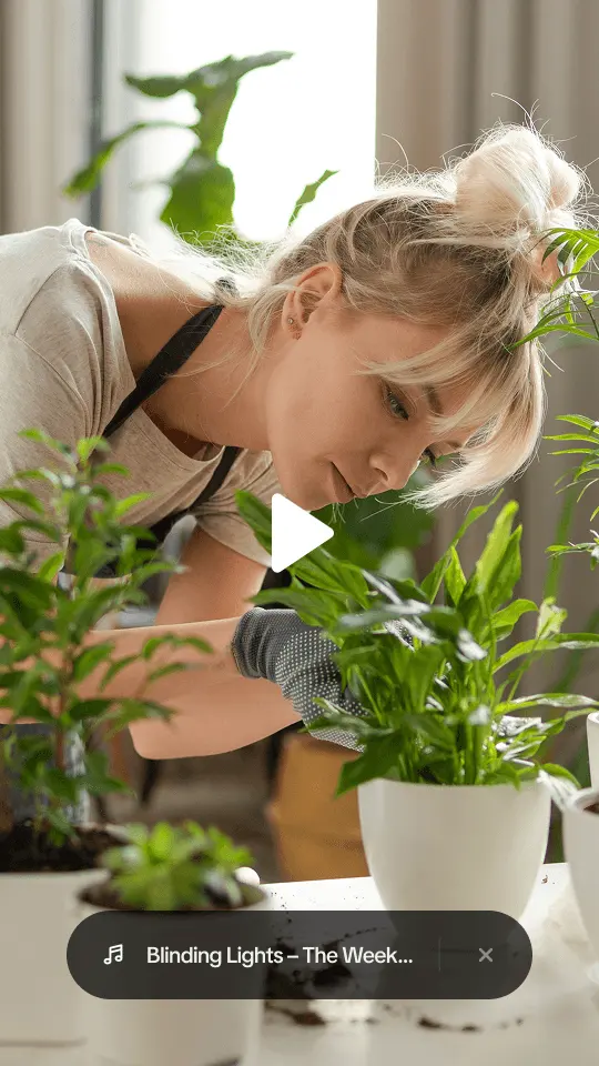 TikTok video ad of a gardener potting plants, chosen as the ad creative